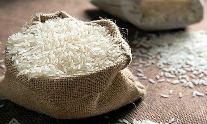 Bharat Rice | Piyush Goyal