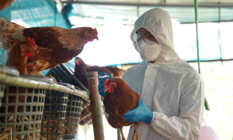 Image depicting the swift action and containment measures at Nagpur Regional Hatchery Centre during the bird flu crisis.