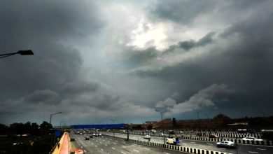 Nagpur Thunderstorms Forecast: Illustration of Dark Clouds and Lightning | IMD