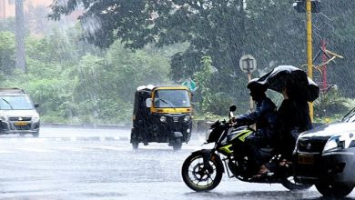 Forecast: depicting rainy weather in Maharashtra.