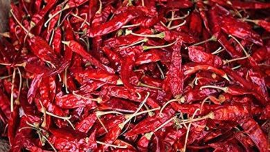 rain-soaked chilli sacks in a market yard.