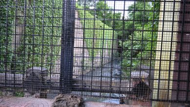 NMC iron mesh installation on nullah bridges in Nagpur to prevent waste dumping