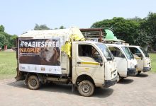 A group of veterinary professionals vaccinating dogs during Nagpur's ‘Rabies-Mukt’ campaign.