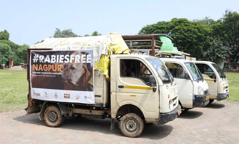 A group of veterinary professionals vaccinating dogs during Nagpur's ‘Rabies-Mukt’ campaign.