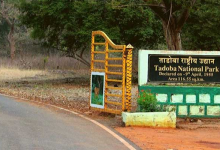 Map of Tadoba-Andhari Tiger Reserve showing expanded area.