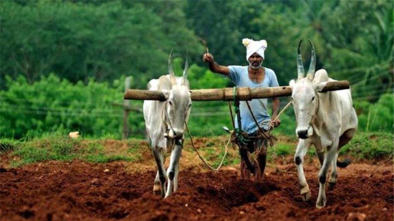 Nagpur Farmer