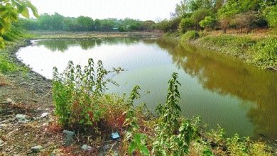 Pandhrabodi Lake in Ram Nagar