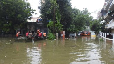 nagpur flood