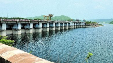 Nagpur Division Leads Maharashtra in Water Stock with 48.81% Reservoir Capacity