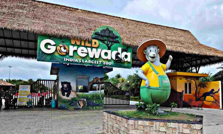 African Safari Gorewada Nagpur: Lions, giraffes, zebras, and more await visitors in this wildlife adventure.