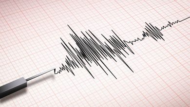 Magnitude | Maharashtra | A seismic graph displaying minor tremors, representing the Nagpur earthquake event.