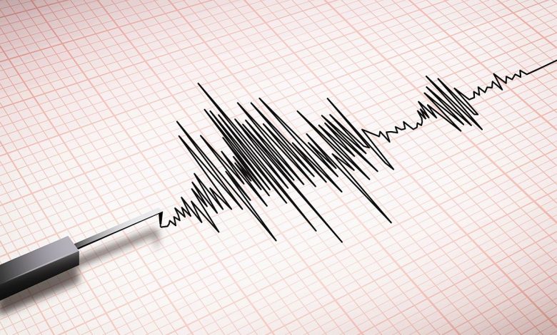 Magnitude | Maharashtra | A seismic graph displaying minor tremors, representing the Nagpur earthquake event.