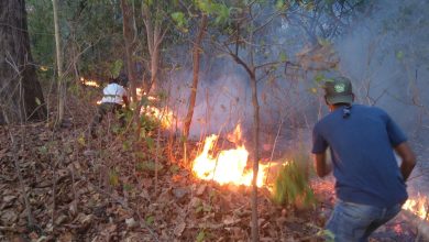 High-resolution camera on tower at Pench Tiger Reserve for AI-based fire detection system"