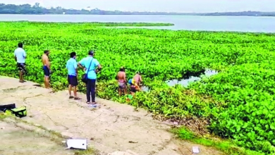 NMC personnel and machinery actively engaged in removing water hyacinth from Ambazari Lake.