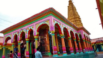 Devotees celebrating Ashadhi Ekadashi at Dhapewada Temple.