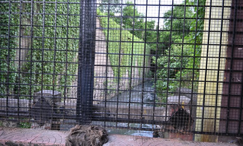 NMC iron mesh installation on nullah bridges in Nagpur to prevent waste dumping