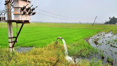 Farmers in Nagpur and Wardha benefiting from free electricity for agricultural pumps under the CM Baliraj Scheme.