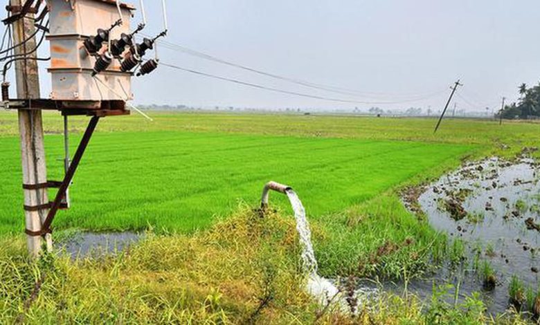 Farmers in Nagpur and Wardha benefiting from free electricity for agricultural pumps under the CM Baliraj Scheme.