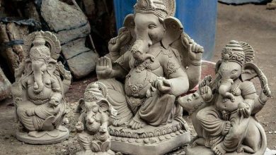 Enforcement squads and police collaborate in Nagpur to ban PoP idols during the Ganesh Festival.