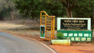 Map of Tadoba-Andhari Tiger Reserve showing expanded area.