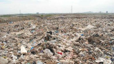 A reclaimed landfill at Bhandewadi showcasing greenery and eco-friendly projects. | Bhandewadi biomining project Nagpur.