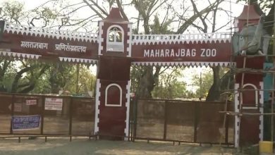 Dilapidated tiger enclosure at Maharajbag Zoo in Nagpur.