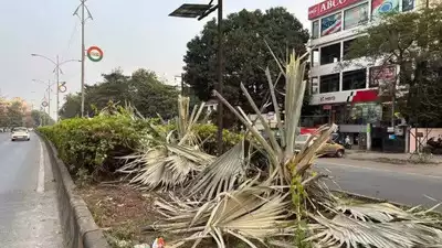 A barren stretch of Nagpur's Inner Ring Road where 552 trees were felled for advertising installations. Nagpur tree felling incident