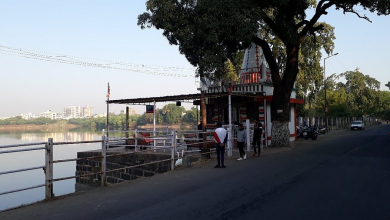 A polluted Sonegaon Lake (Nagpur) with visible sewage contamination affecting aquatic life.